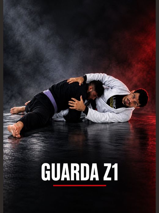 Módulo 4: Guarda Z1