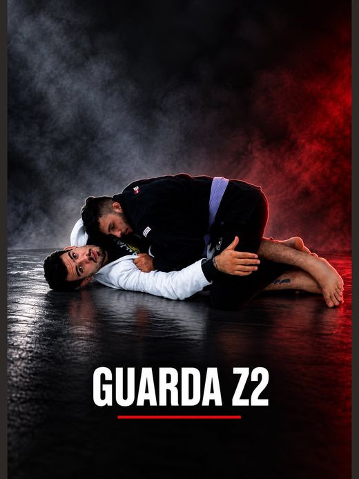 Módulo 5: Guarda Z2