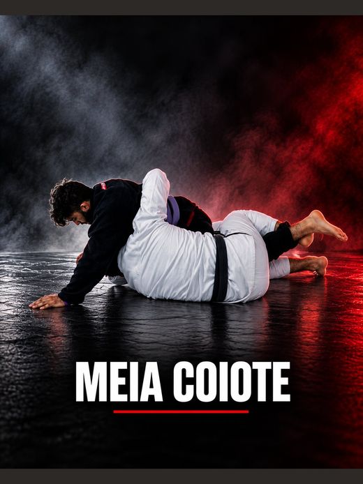 Módulo 6: Meia coiote
